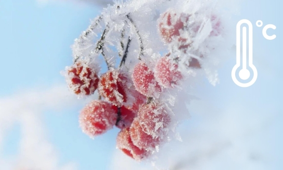 Сніг, мороз та ожеледиця як довго ще протримається на Вінниччині така погода Сніг, мороз та ожеледиця як довго ще протримається на Вінниччині така погода