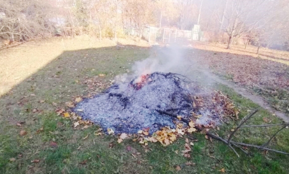 Вінничанам нагадують про заборону спалювання опалого листя