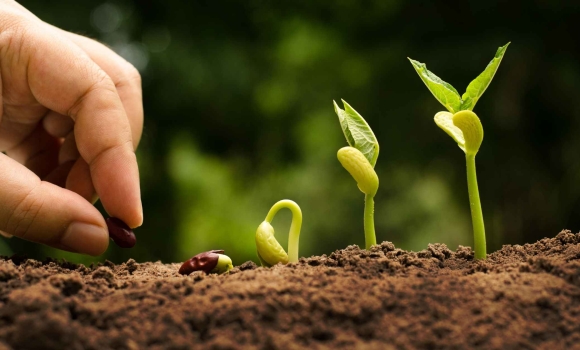 Стартапи Вінницького аграрного університету перемогли на International Global Innovation Research Стартапи Вінницького аграрного університету перемогли на International Global Innovation Research