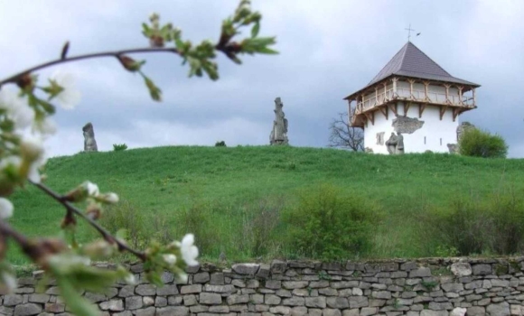 Створення заказника «Гора Лисківка» на Вінниччині відстоюватимуть у суді
