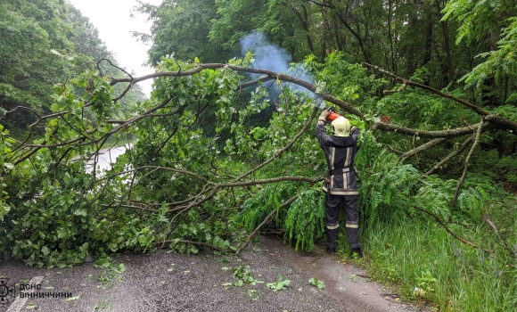 Сильний вітер повалив дерева у п'ятьох районах Вінниччини