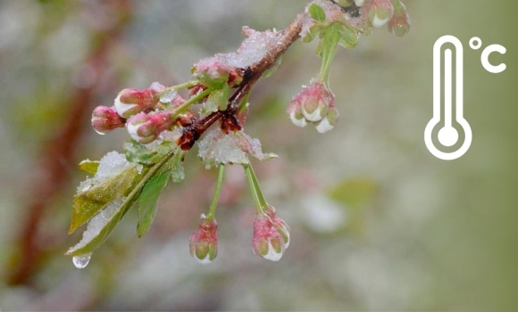 Синоптики дали невтішний прогноз на Вінницю насуваються дощі, поривчастий вітер і заморозки