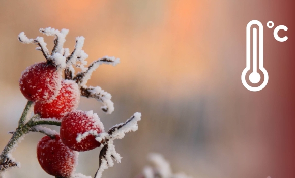 Синоптики обіцяють 27 березня у Вінниці без опадів, але з морозом