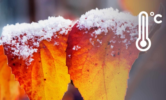 Синоптики попереджають 23 листопада у Вінниці - мокрий сніг та ожеледиця на дорогах