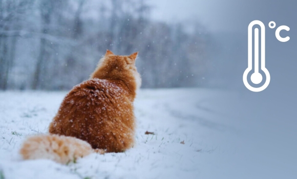 Синоптики попереджають на Вінниччину насуваються ще дужчі морози