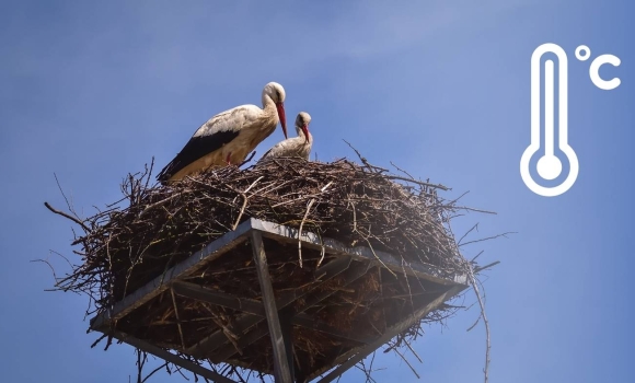 Синоптики попереджають вінничан про мінливість погоди у березні