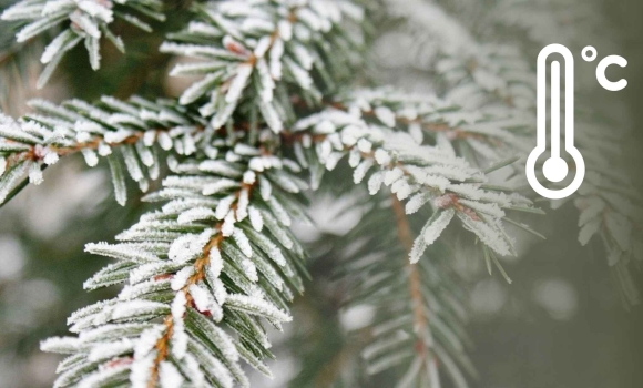 Синоптики визначились, коли буде пікове грудневе похолодання на Вінниччині