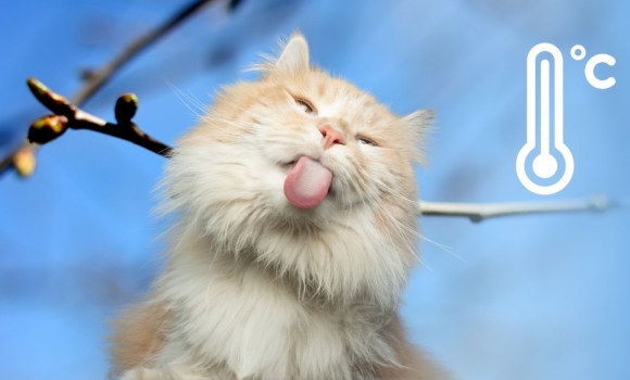 Температура у Вінниці підскочить вище норми синоптики кажуть, що чекати на вихідних