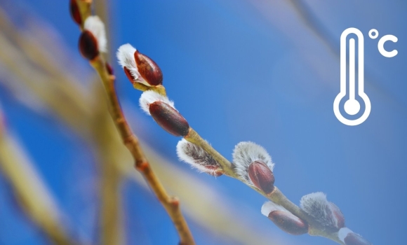 Теплінь, майже як влітку чи довго протримається перше весняне потепління у Вінниці