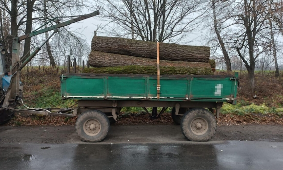 Трактор з причепом повним “зайвих” дубових стовбурів зупинили на Гайсинщині
