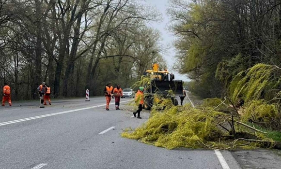 Траси Вінниччини під ударом стихії як дорожники рятували автошляхи від наслідків негоди