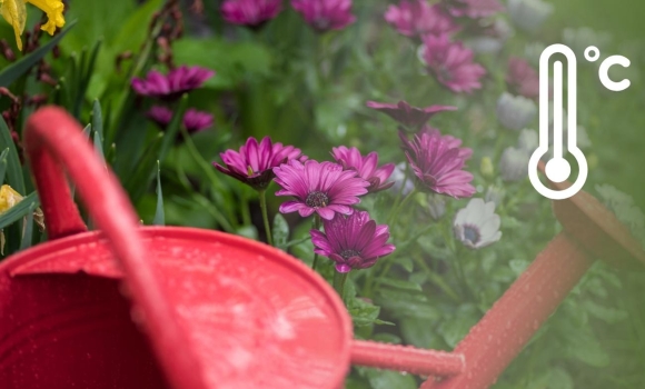 Травень почнеться з «мінусів» сильні нічні морози Вінниччину ще не залишили