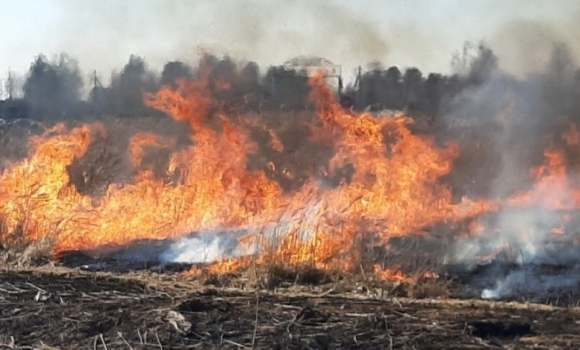 Три пожежі в екосистемах сталися за добу на Вінниччині