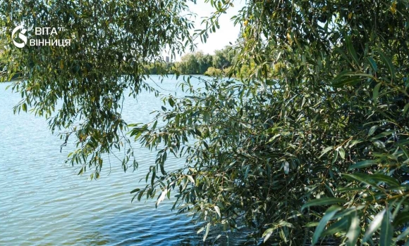 Три приховані труби знайшли на дні Вишенського озера у Вінниці злив нечистот заблокували водолази Три приховані труби знайшли на дні Вишенського озера у Вінниці злив нечистот заблокували водолази