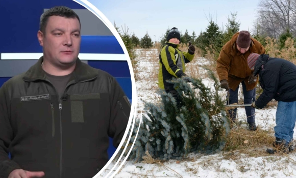 Триває спеціальна природоохоронна операція під назвою Новорічна ялинка