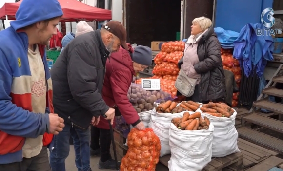 Цибуля на вінницькому ринку актуальні ціни, як правильно обрати та як зберігати Цибуля на вінницькому ринку актуальні ціни, як правильно обрати та як зберігати