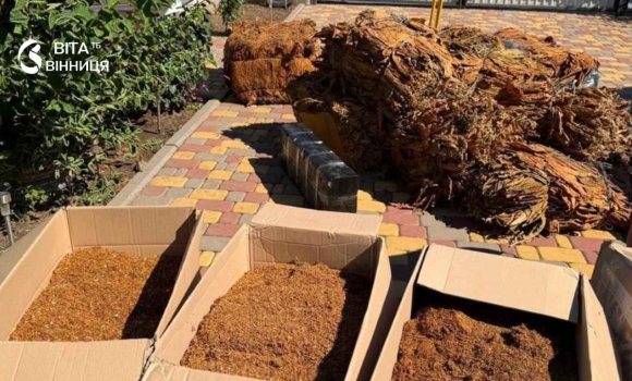 Тютюн різали «вертольотом» у дворовій будівлі у Вінниці під суд підуть троє родичів Тютюн різали «вертольотом» у дворовій будівлі у Вінниці під суд підуть троє родичів