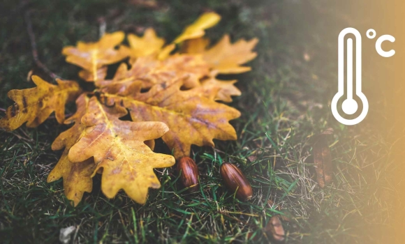 Тиждень на Вінниччині почнеться з потепління та сильних вітрів Тиждень на Вінниччині почнеться з потепління та сильних вітрів