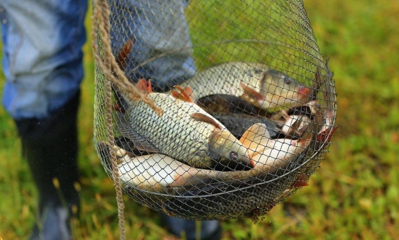 У Бершадській громаді спіймали двох рибаків-браконьєрів