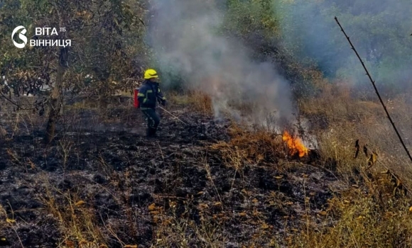 У чотирьох районах Вінниччини за добу горіла суха трава — причина та наслідки