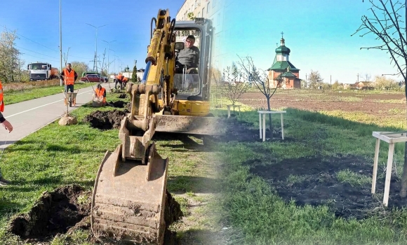У Десні вздовж вулиці Лесі Українки висадили липи та каштани