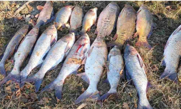 У Гайсинському районі чоловік виловив риби майже на 60 тисяч гривень