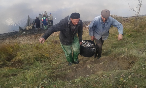 У Гайсинському районі зарибили Дмитренківське водосховище