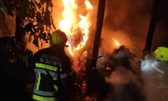 У Гайсинському районі згоріло п'ять тонн сіна спалахнув піднавіс
