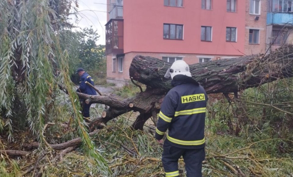 У Гнівані рятувальники прибрали з дороги дерево - впало через сильний вітер