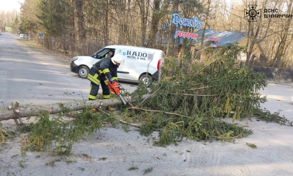 У Хмільнику рятувальники прибрали з автошляху повалене деревоУ Хмільнику рятувальники прибрали з автошляху повалене дерево