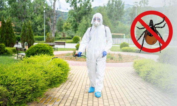 У Хмільнику до вечора закрили для відвідування міський парк