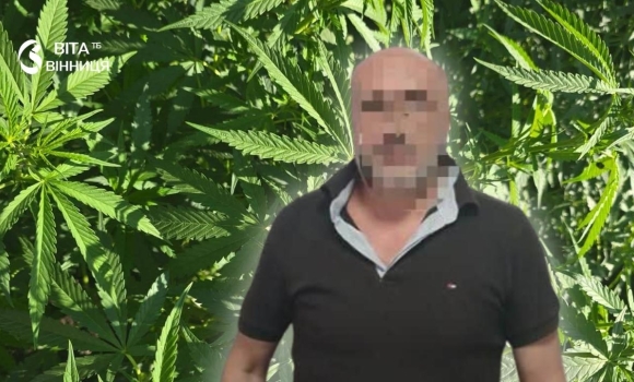 У Хмільницькому районі під домашній арешт відправили чоловіка, який у горщиках вирощував коноплі