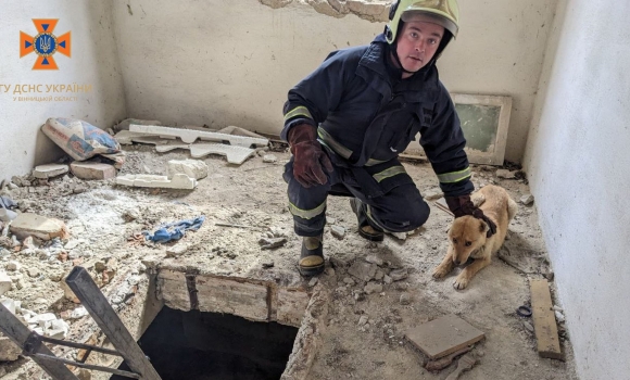 У Козятині рятувальники діставали з погреба собаку