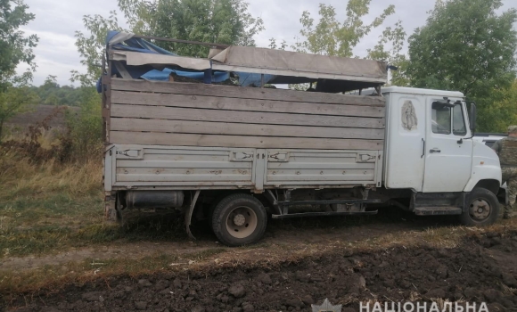 У Крижопільській громаді трійця спритників нарубали дубів на цілий «ЗІЛ» 