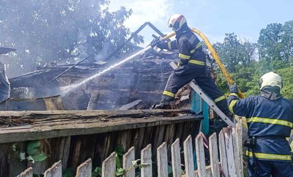 У Ладижинській громаді врятували від пожежі пшеничне поле