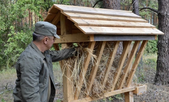У лісах Вінниччини побільшало годівниць для тварин