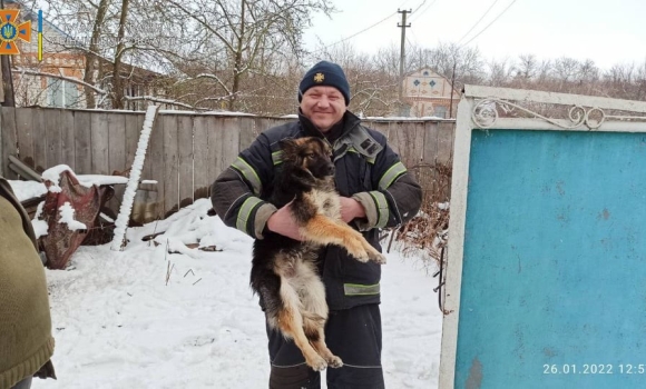 У Літинській громаді рятували собачку, який застряг в огорожі