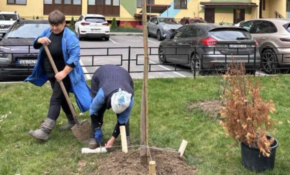 У межах осінньої кампанії з висадки дерев озеленили близько сотні дворів Вінниці