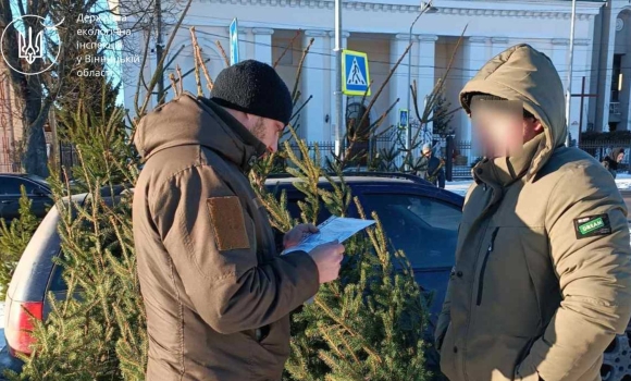 У Немирові виявили незаконний продаж новорічних ялинок