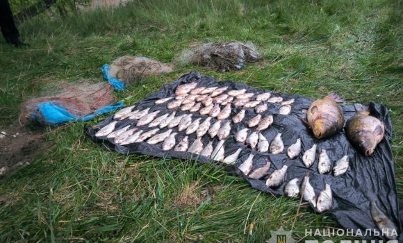 У Південному Бузі браконьєр виловлював рибу сітками