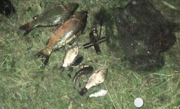 У Погребищі "на гарячому" спіймали браконьєра - ловив рибу "хваткою"