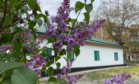 У садибі Коцюбинськогу Вінниці, до Дня вишиванки, можна робити тематичні фото