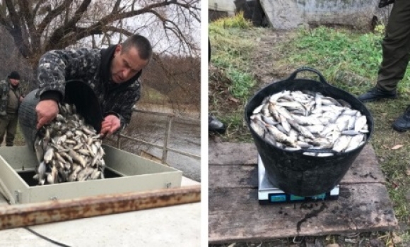 У Сутиське водосховище у Ворошилівці випустили ще понад тонну риби