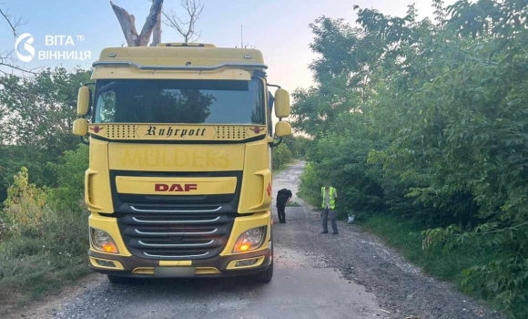 У Тульчинському районі вантажівка збила 74-річну велосипедистку У Тульчинському районі вантажівка збила 74-річну велосипедистку