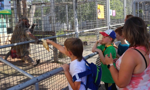У Вінниці для сімей з оздоровчого центру організували екскурсію до зоопарку