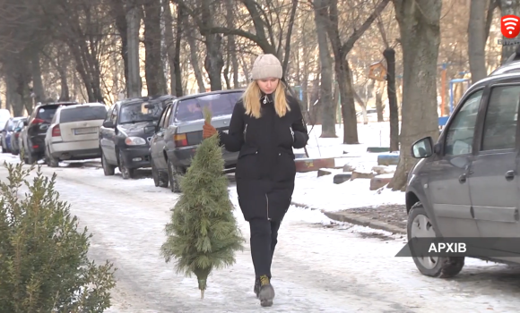 У Вінниці новорічні дерева безкоштовно утилізують працівники «ЕкоВіну»