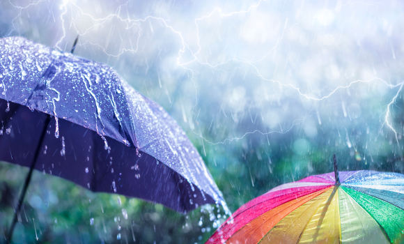 У Вінниці обіцяють грозу та шквалистий вітер - не забудьте парасольки