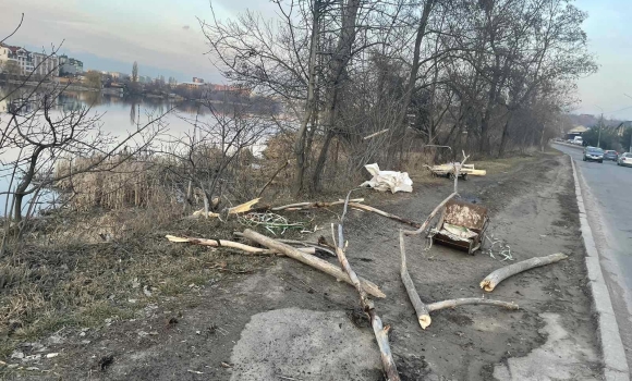 У Вінниці пошкодили зелені насадження на вул.Гліба Успенського