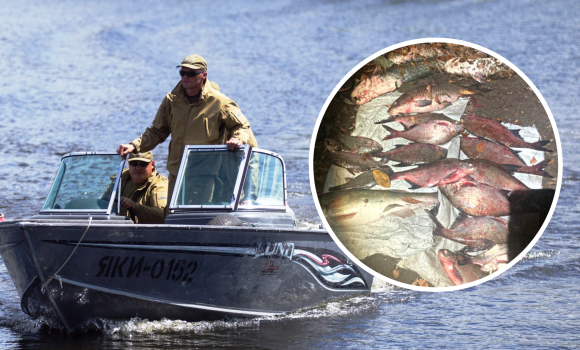 У Вінниці спіймали чоловіків, які сітками ловили рибу - збитки майже 50 тис. грн