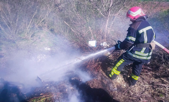 У Вінниці спіймали на гарячому жінку, яка підпалила очерет біля місцевого ставка